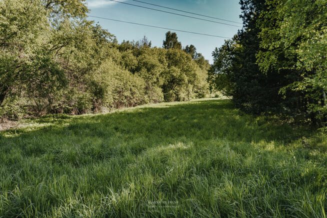 Działka przemysłowo - usługowa / Wolbrom