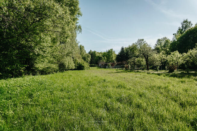 Działka przemysłowo - usługowa / Wolbrom