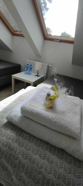 Zapraszamy do Pensjonatu SOSNÓWKA: Przyroda, Komfort i Cisza