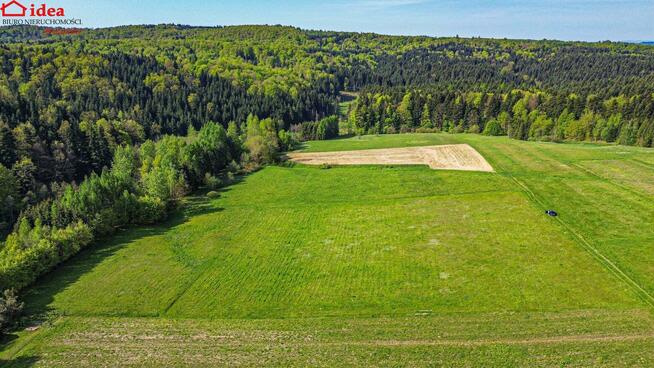 Działka Izdebki gm. Nozdrzec