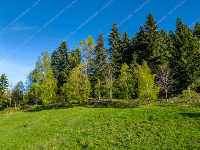 Stryszawa - działki z widokiem na Babią Górę