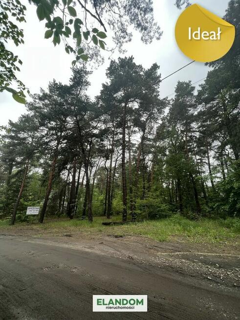 Działka cisza starodrzew wschodni Michalin