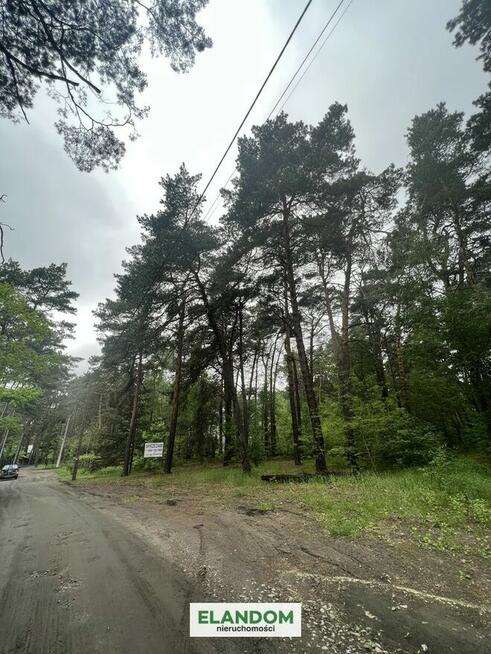 Działka cisza starodrzew wschodni Michalin