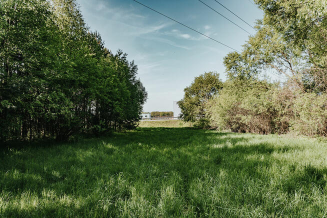 Działka przemysłowo - usługowa / Wolbrom