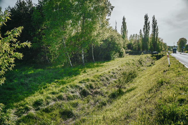 Działka przemysłowo - usługowa / Wolbrom