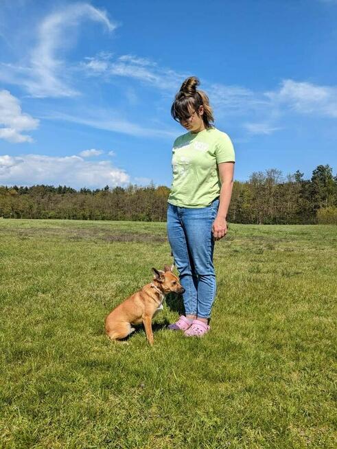 Alarm!!Kto pokocha 2/3 let.Marsika malutkiego psiaczka Kasia