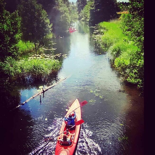 Zapraszamy do Pensjonatu SOSNÓWKA: Przyroda, Komfort i Cisza