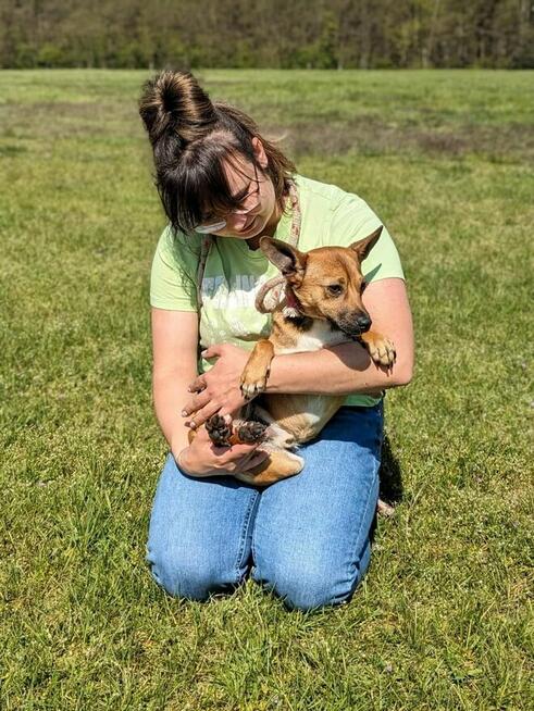 Alarm!!Kto pokocha 2/3 let.Marsika malutkiego psiaczka Kasia