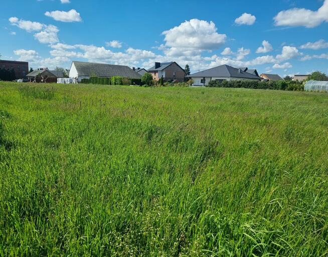 Działka - Racibórz Studzienna