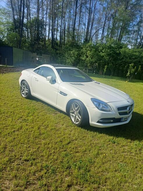 Mb slk172