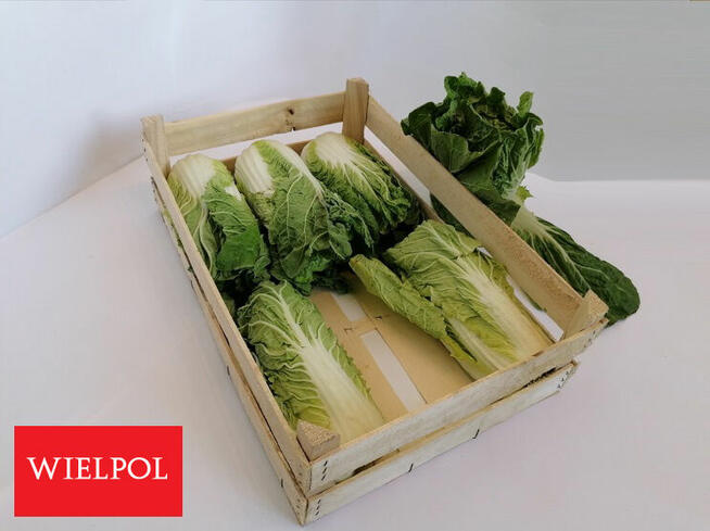 Sprzedam skrzynki drewniane z łuszczki