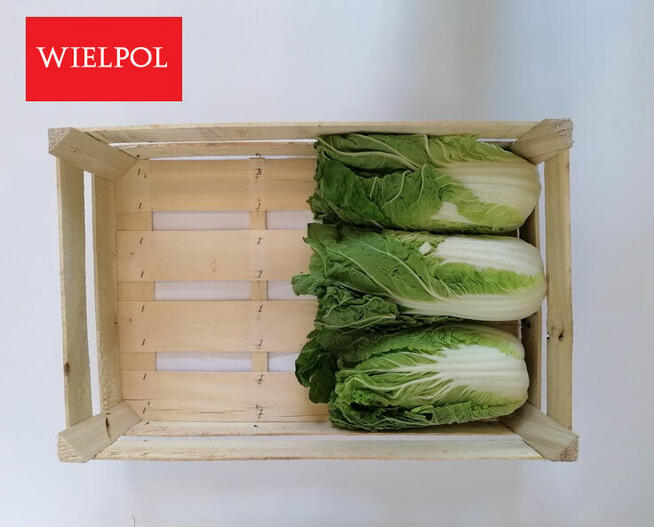 Sprzedam skrzynki drewniane z łuszczki