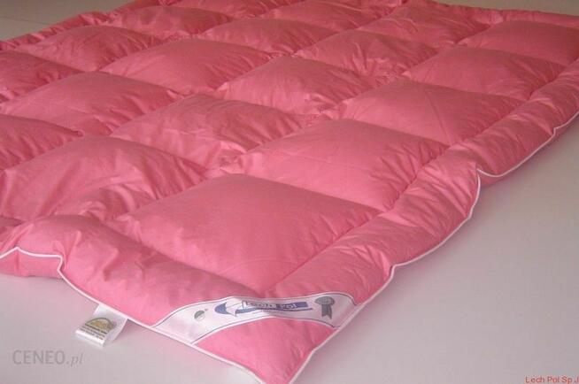 Zakład Usługowy czyszczenia i dezynfekcja pierza