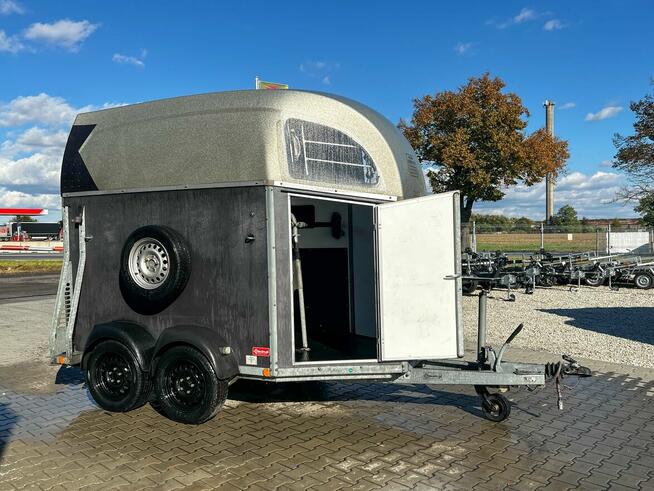 przyczepa do koni Bockman faktura VAT 2 konna 2000kg używana