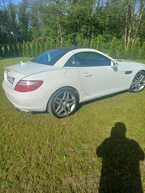 Mb slk172