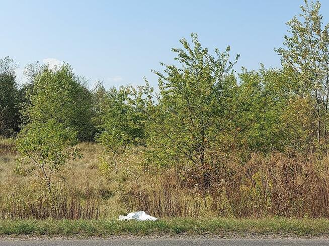 Sączów, działka rolno-budowlana pod zabudowę mieszkaniową i