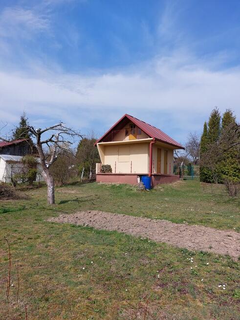 Sprzedam działkę - ROD Dębica TRANSPORTOWIEC