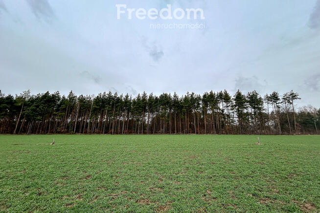 Działka z WZ na skraju lasu, blisko autostrady A2