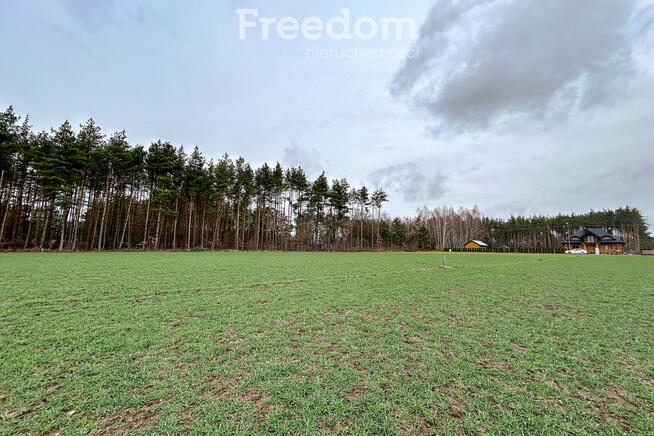 Działka z WZ na skraju lasu, blisko autostrady A2