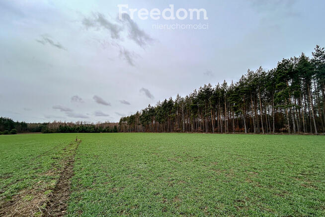 Działka z WZ na skraju lasu, blisko autostrady A2