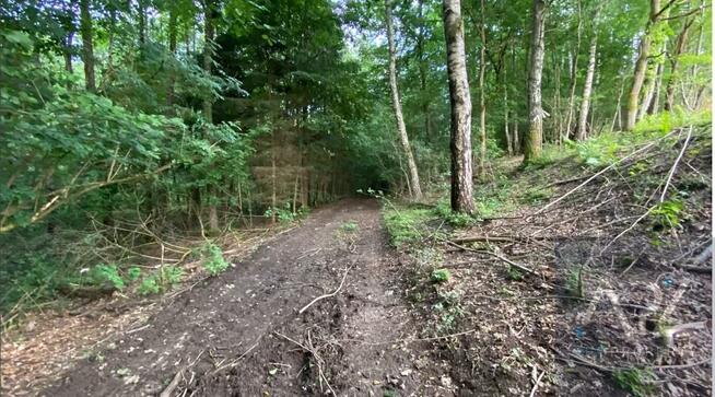 Działka rekreacyjna Wierzchowo