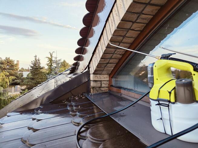 DDD BEST Dezynsekcja Deratyzacja odpluskwianie likwidacja os