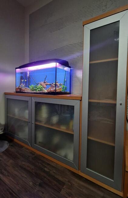 Meble z akwarium na sprzedaż