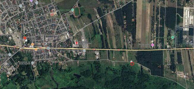 Sprzedam działkę rolną w Golina-Kolonia 1319 m2