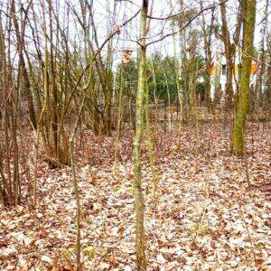 Działka z WZ 1400m Tłuszcz Postoliska 1,5 km do PKP