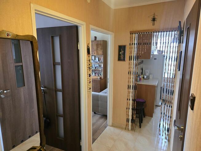 DO WYNAJĘCIA OD ZARAZ