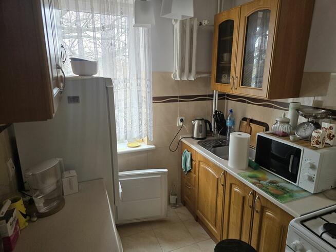 DO WYNAJĘCIA OD ZARAZ