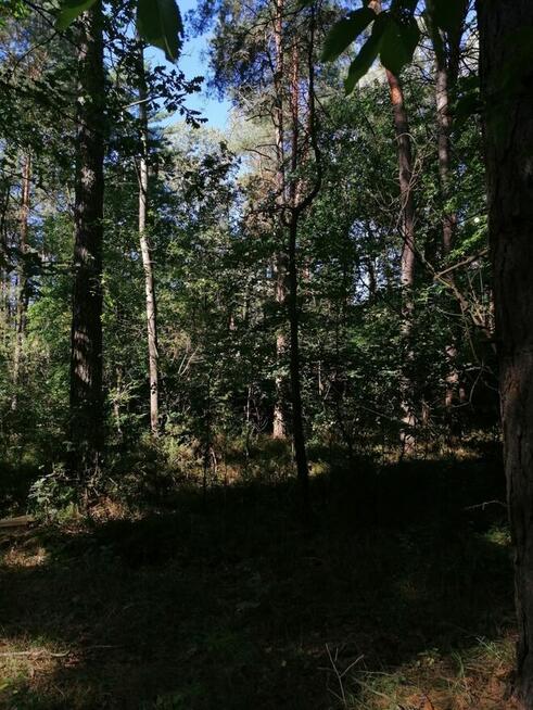 Nieruchomość gruntowa od Syndyka - Bielany-Żyłaki