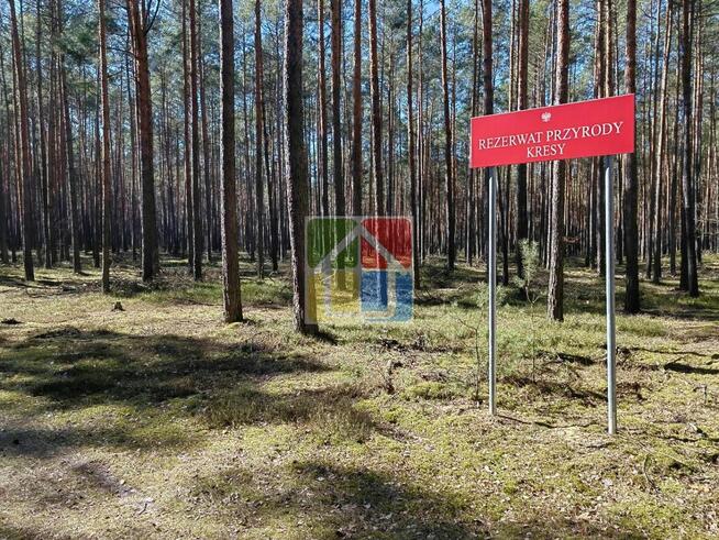 Działka pod zabudowę z lasem w Parku Krajobrazowym