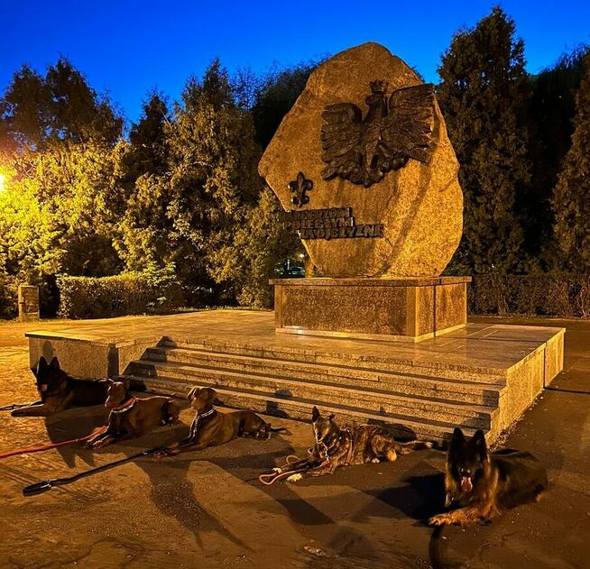 Szkolenie psów Kielce www.szkoleniepsowkielce.eu