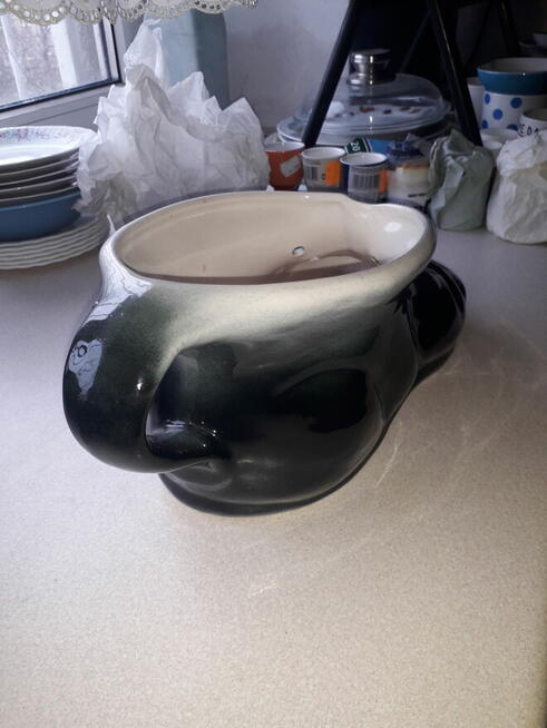 But jako doniczka ogrodowa