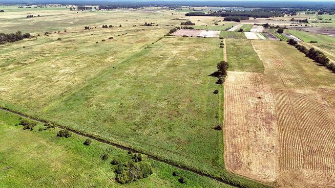 Działka rolna Gm.Goleniów na sprzedaż