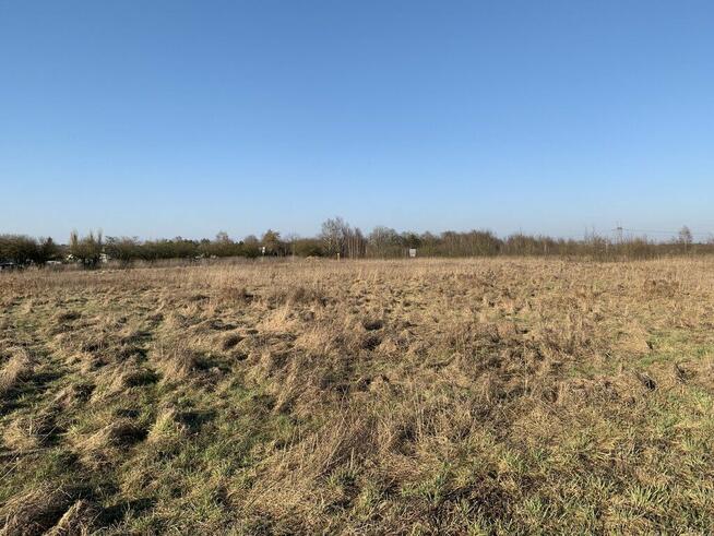 Działki inwestycyjne pod Goleniowem