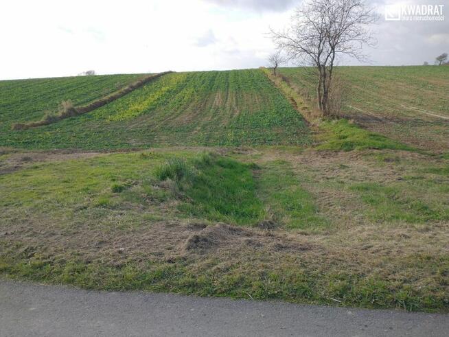 Działka rolna Jakubowice Konińskie gm. Niemce