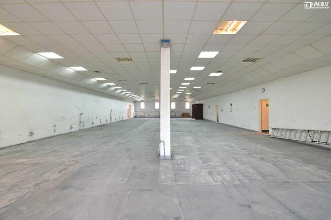 Lokal użytkowy CHEŁM