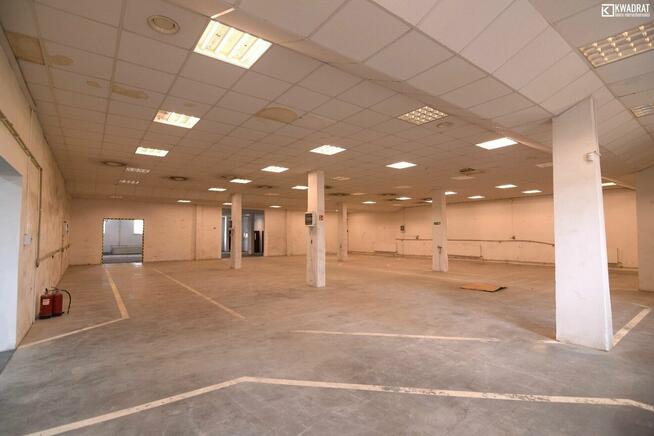 Lokal użytkowy CHEŁM