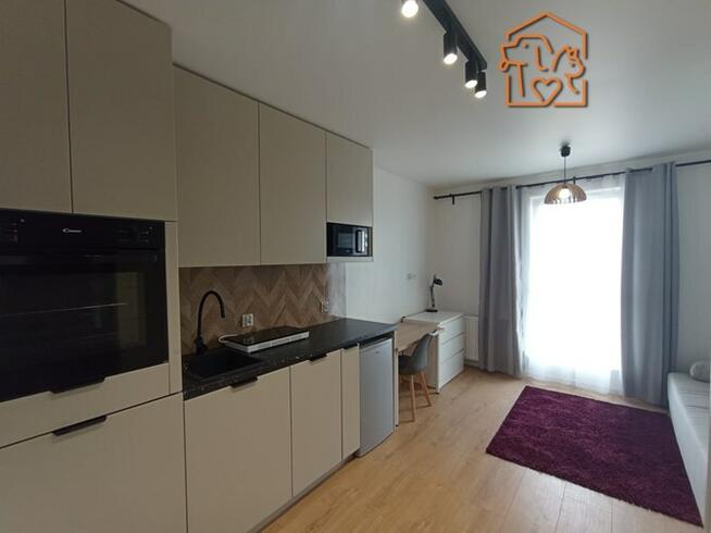 Hokejowa 81, przyjazna zwierzętom kawalerka