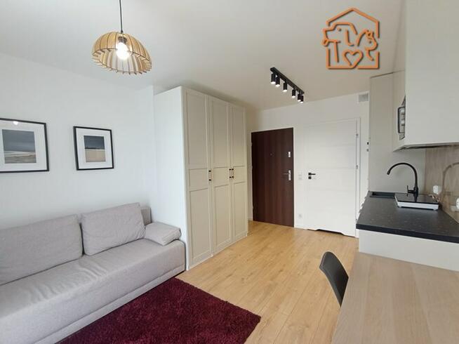 Hokejowa 81, przyjazna zwierzętom kawalerka