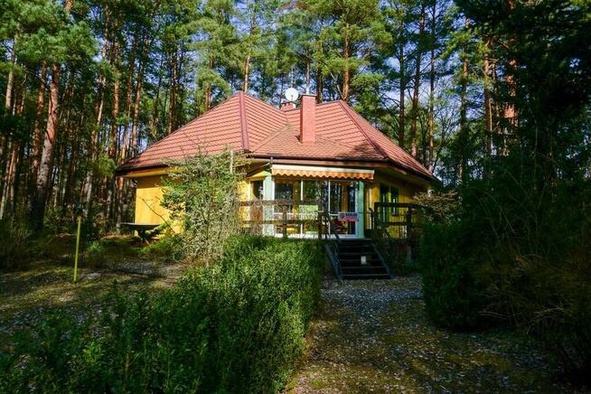 Dom 110m2 nad Narwią, w otoczeniu lasu k/Pułtuska