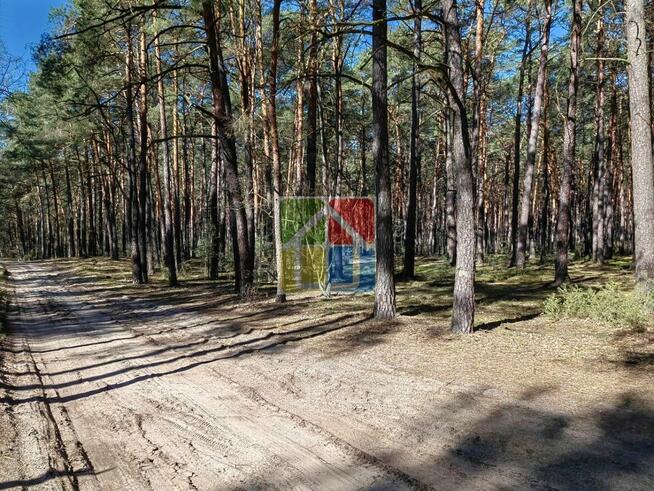 Działka pod zabudowę z lasem w Parku Krajobrazowym