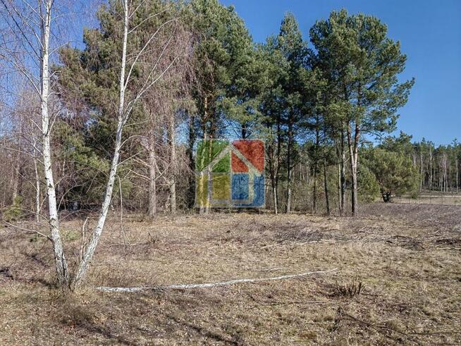Działka pod zabudowę z lasem w Parku Krajobrazowym