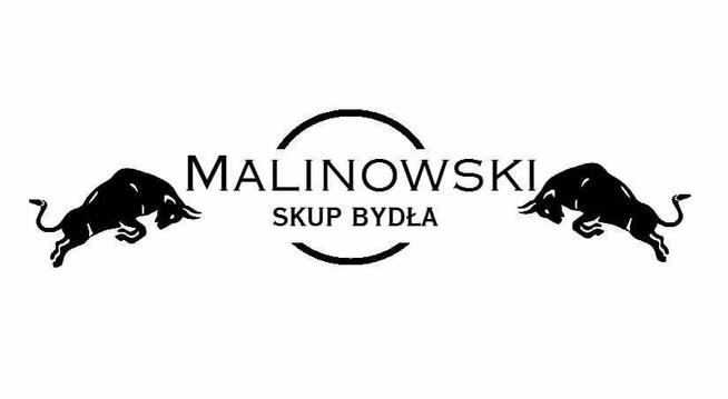 Firma zajmująca się skupem bydła poszukuje pracownika biurow