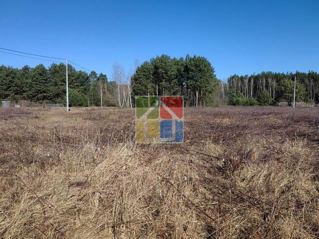 Działka pod zabudowę z lasem w Parku Krajobrazowym