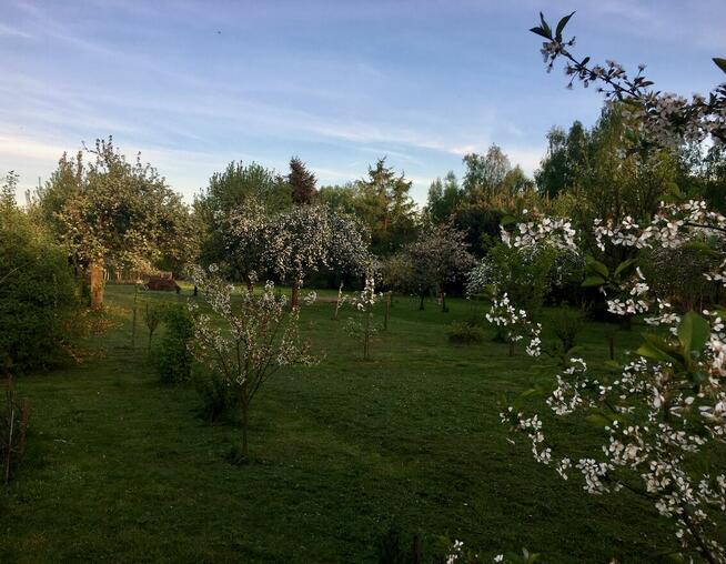 Przepiękny ogród i funkcjonalny dom, bud do prow dzial gosp