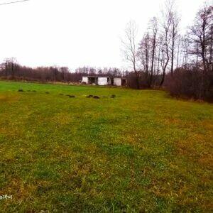 Działka od 5000m2 do 1,4ha Nowy Cygów Poświętne Wołomin medi