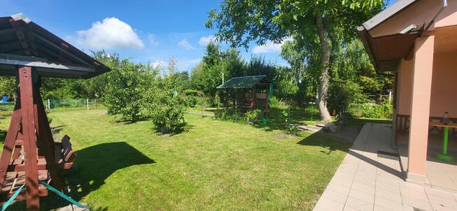 Sprzedam działkę ROD